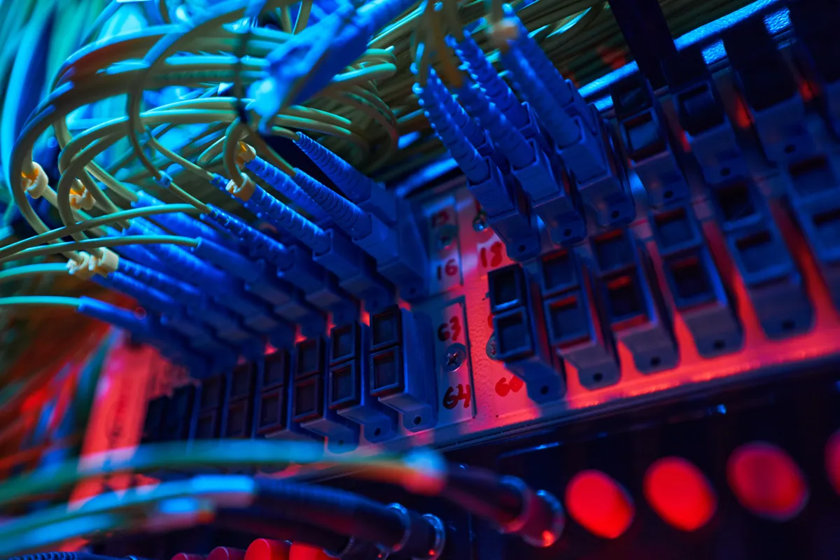 Network cables plugged into a switch
